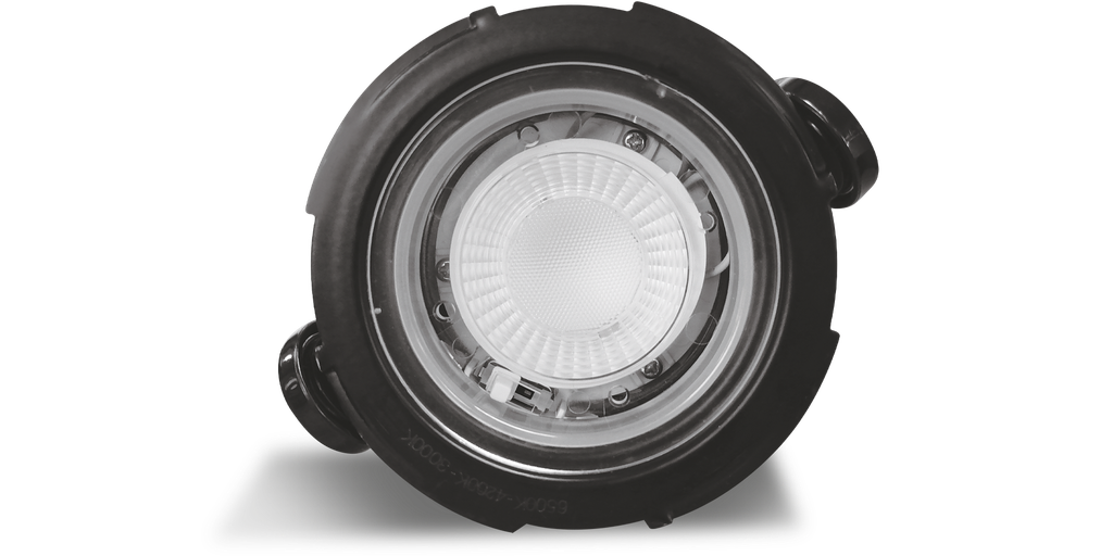 Downlight HECTOR, IP65, CCT, encastr. Ø68mm, finition blanc