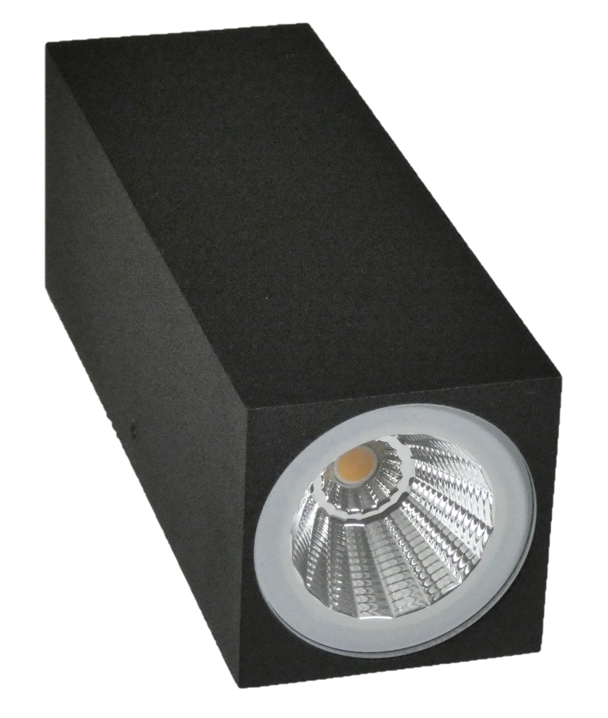 Applique murale extérieur incl AC LEDmodule 2x4W IP54 NOIR