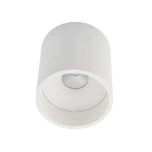 Plafonnier apparent rond - 8W - 880lm - 40° - 2700K - IP65/20 - Blanc - Dali dim