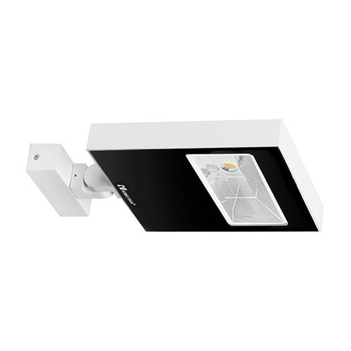 Raypro 50 a 50w 3000k 5650lm IP67 blanc mat