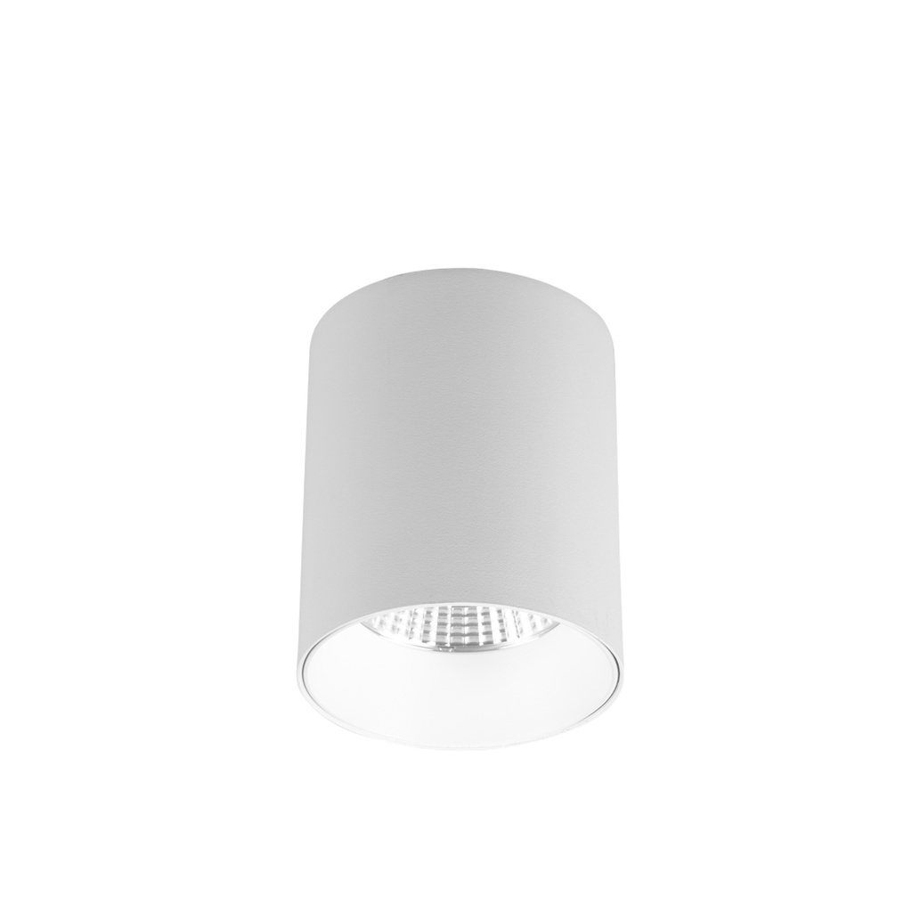 NANCY 18 Spot Apparent 3CCT Blanc AC230V TRIAC 18W