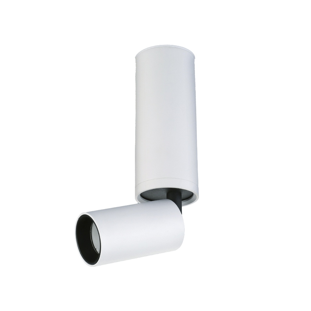 BEZIERS Apparent plafonnier 2700K Blanc AC230V 10W IP20