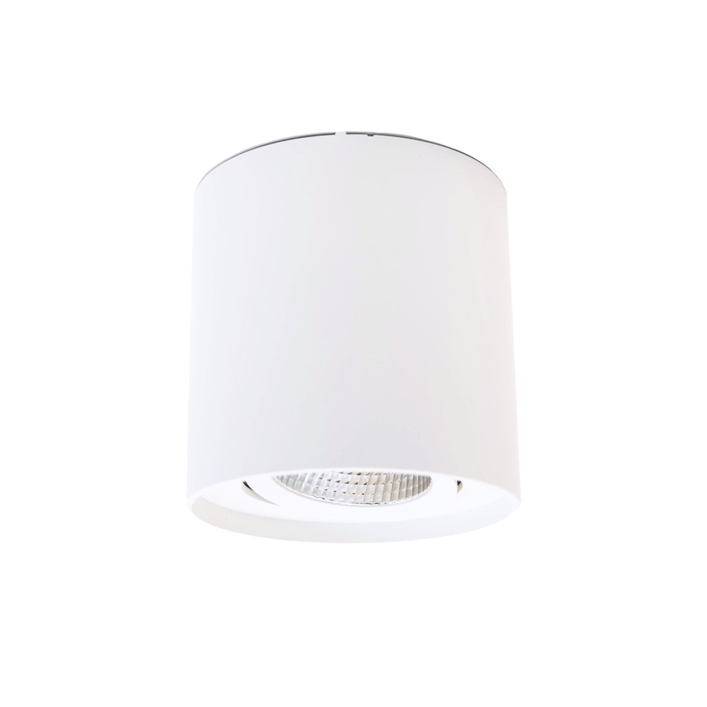 SINTRA R Apparent plafonnier 3000K Blanc AC230V 10W IP20