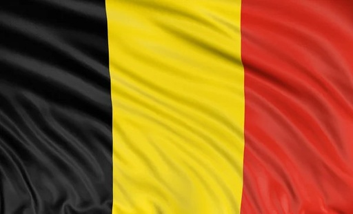 [W4L103114] drapeau belge