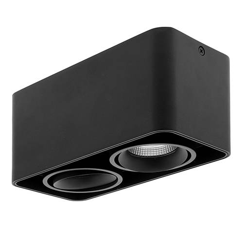 [W4L003716] LUPO 2 2x10W 2x500Lm 3000K 38° Noir mat