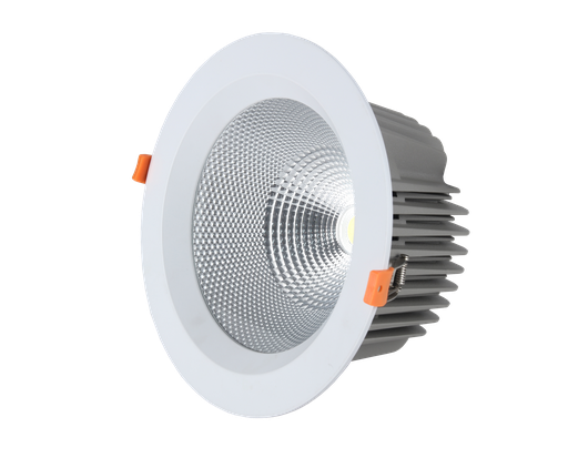 [L4Y0610-20W] DOWNLIGHT Ø230mm 20W 4000K CRI>80 80° excl LIFUDdriver 500mA BLANC