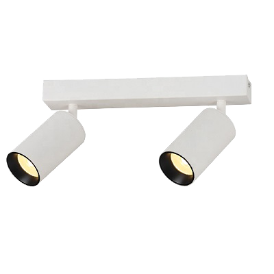 [L4Y0651W] Plafonnier apparent 2-voudig 2x10W 40° IP20 2x800Lm CRI80 - incl LED-driver BLANC