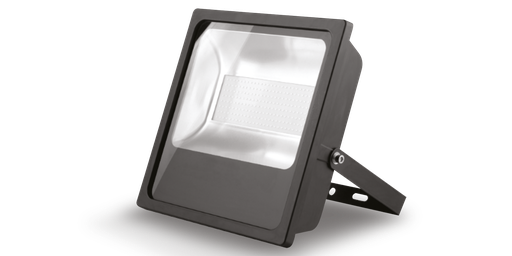 [W4L021966] Projecteur NEW YORK, 100 watts, blanc naturel 4000K